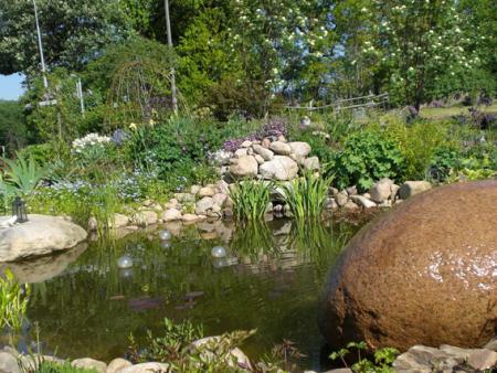 gallery_11521_2410_253695.jpg