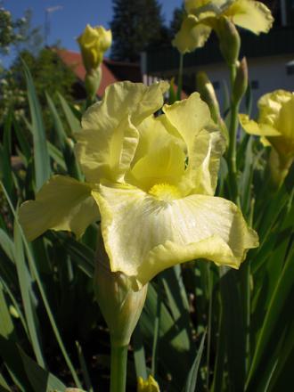 gallery_11521_2410_64824.jpg