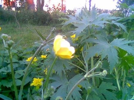 gallery_2460_1501_52101.jpg