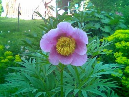 gallery_2460_1500_21348.jpg
