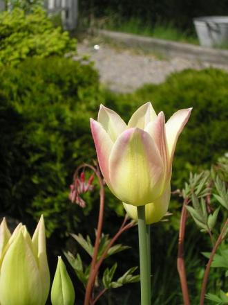 gallery_5006_2140_31741.jpg