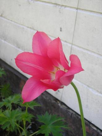 gallery_5006_2140_9810.jpg