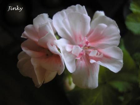 gallery_5783_2425_30943.jpg