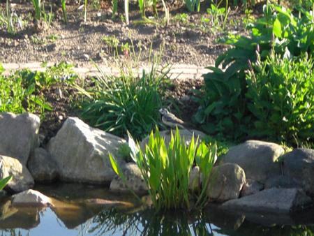 gallery_11521_2434_2416.jpg