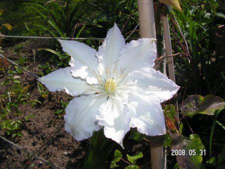 gallery_1786_950_42517.jpg