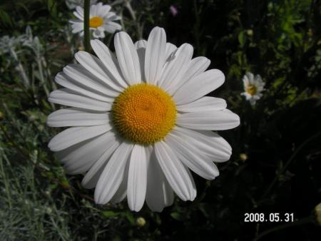 gallery_1786_950_54078.jpg