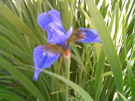 gallery_2460_1501_10644.jpg