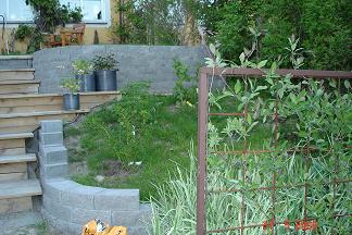 gallery_8989_2437_24312.jpg