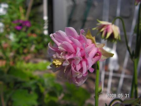 gallery_1786_950_10702.jpg