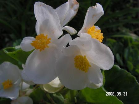 gallery_1786_950_52342.jpg