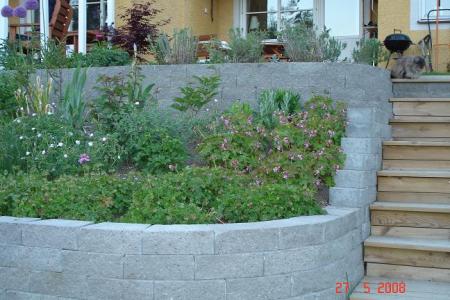 gallery_8989_2437_90669.jpg