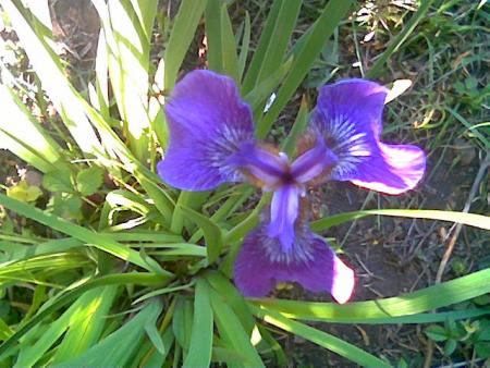 gallery_2460_1501_10044.jpg
