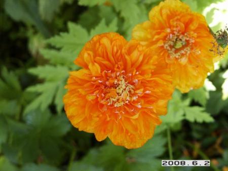 gallery_5956_2442_17369.jpg
