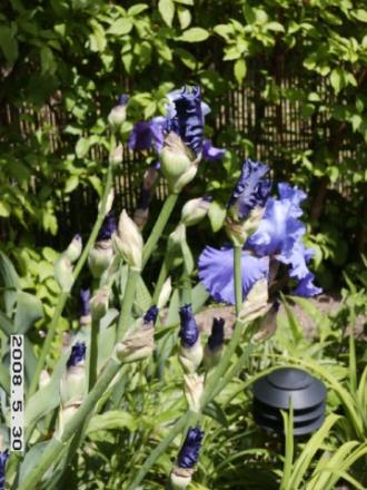 gallery_5956_2442_34639.jpg