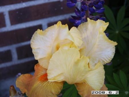 gallery_5956_2442_40933.jpg