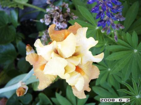 gallery_5956_2442_52766.jpg