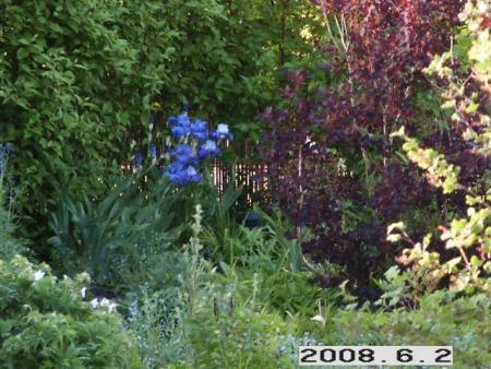 gallery_5956_2442_5604.jpg