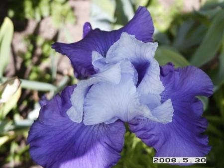 gallery_5956_2442_7704.jpg