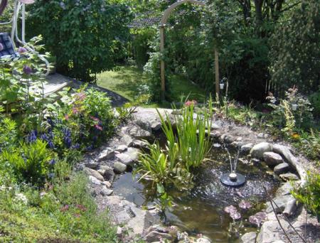 gallery_16584_2450_100199.jpg