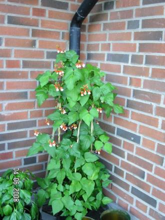 gallery_5587_1843_75993.jpg