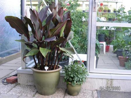 gallery_5587_1843_79506.jpg