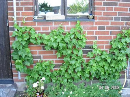 gallery_5587_1843_91833.jpg