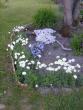tn_gallery_10191_1987_16588.jpg