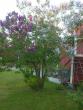 tn_gallery_10191_1987_260657.jpg