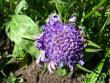 tn_gallery_4113_1870_98598.jpg