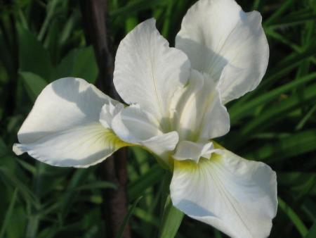 gallery_10539_2455_93409.jpg