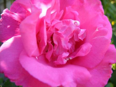 gallery_5307_2392_4484.jpg