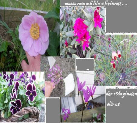 gallery_7440_1854_11407.jpg