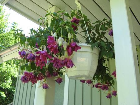 gallery_805_2440_13059.jpg