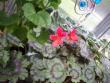 tn_gallery_9596_2456_26906.jpg