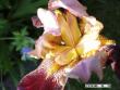 tn_gallery_5956_2442_11616.jpg