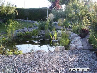 gallery_5956_1121_18440.jpg