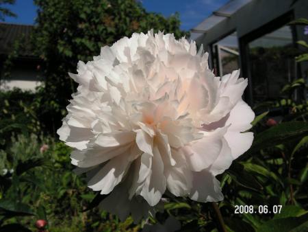 gallery_1786_950_85541.jpg