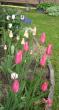 tn_gallery_14_201_39754.jpg