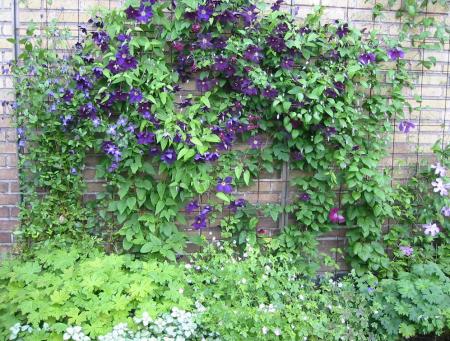 gallery_14_55_272909.jpg