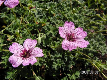 gallery_1786_2464_48897.jpg