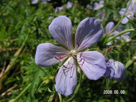 gallery_1786_2464_70128.jpg