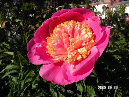gallery_1786_950_112536.jpg