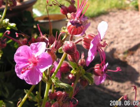 gallery_1786_950_65627.jpg