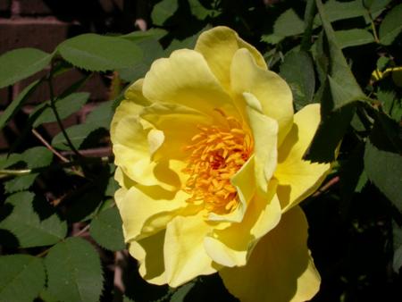 gallery_276_1640_3350.jpg