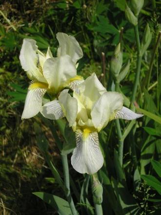 gallery_5006_2472_3867.jpg