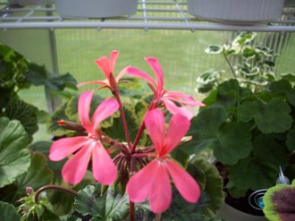 gallery_9596_2456_3875.jpg