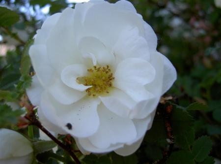 gallery_834_2476_8781.jpg