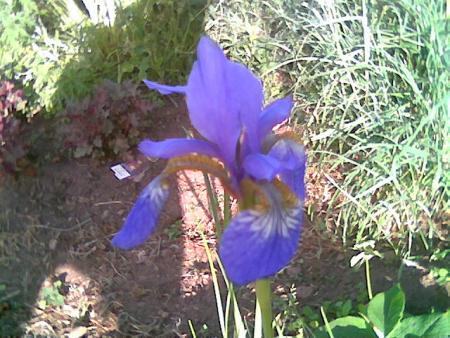 gallery_2460_1501_65341.jpg