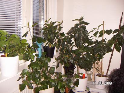 gallery_11607_2511_21884.jpg
