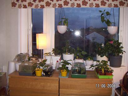 gallery_11607_2511_41877.jpg
